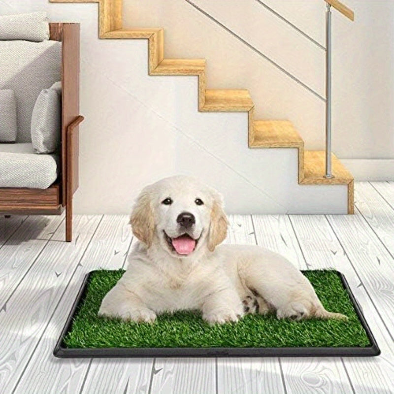 Washable Dog Potty Tray
