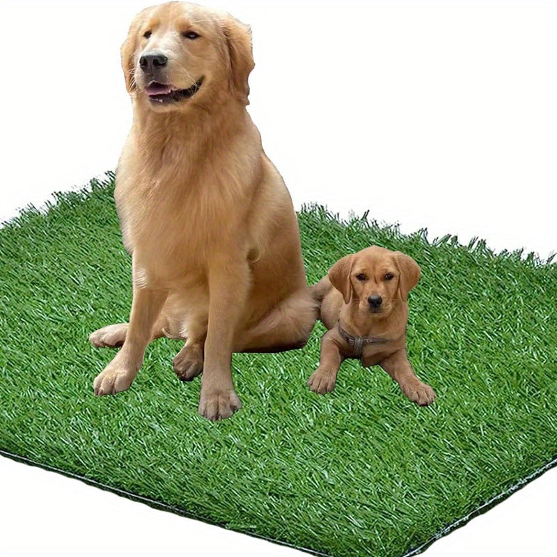 Washable Dog Potty Tray