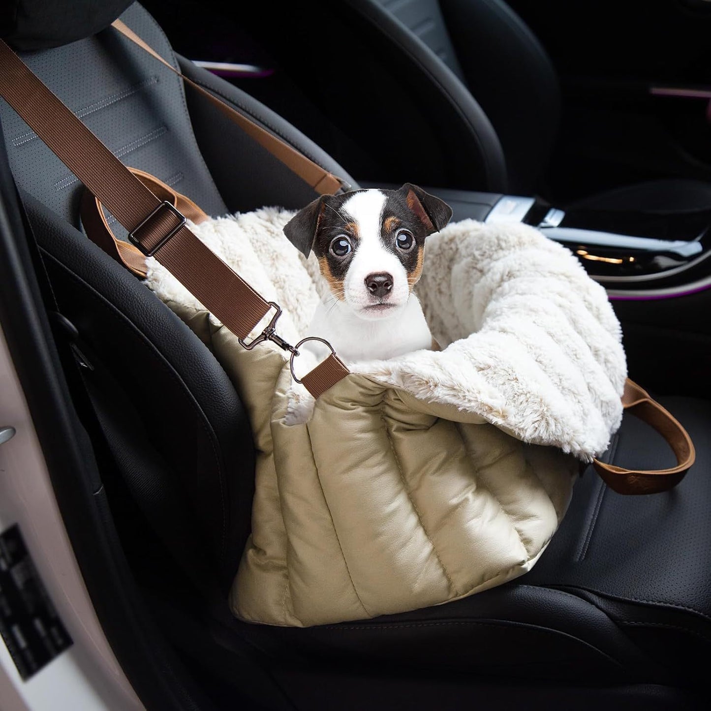 Dog Car Seat & Travel Carrier