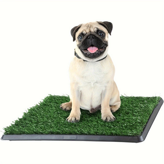 Washable Dog Potty Tray
