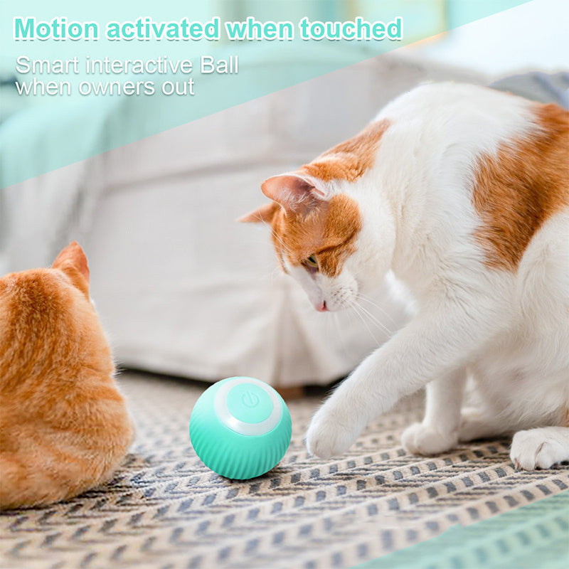 Interactive Cat Toy Bal