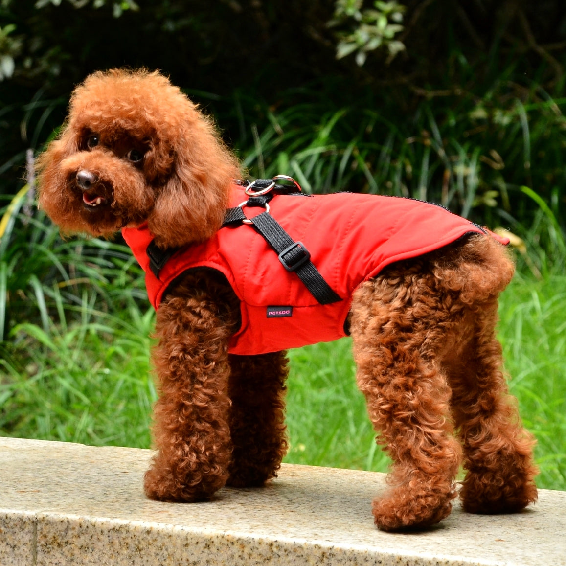 Dog Vest with Harness