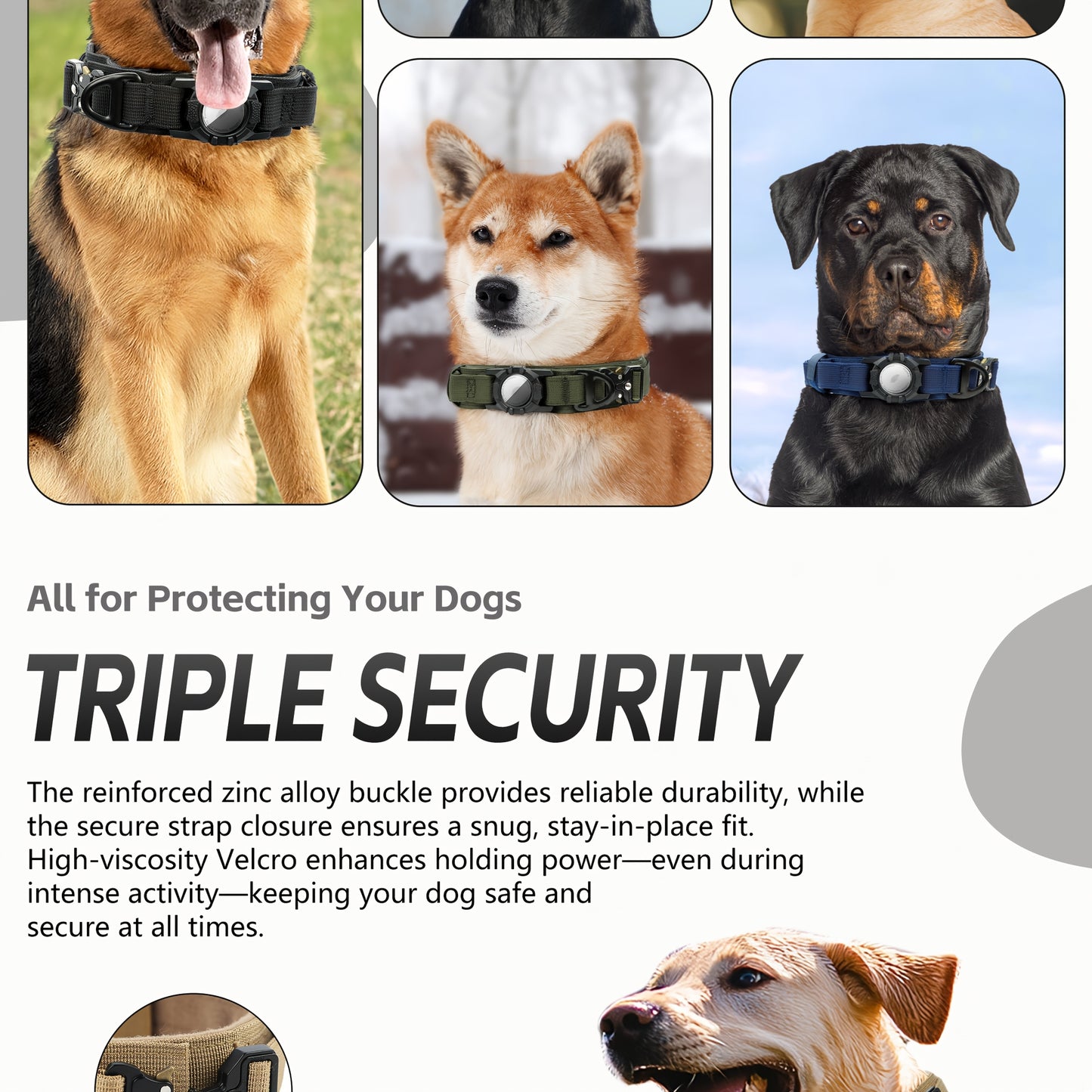 Heavy-Duty Tactical Nylon Dog Collar with GPS Holder