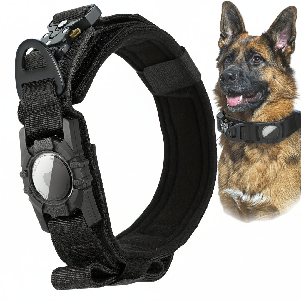 Heavy-Duty Tactical Nylon Dog Collar with GPS Holder