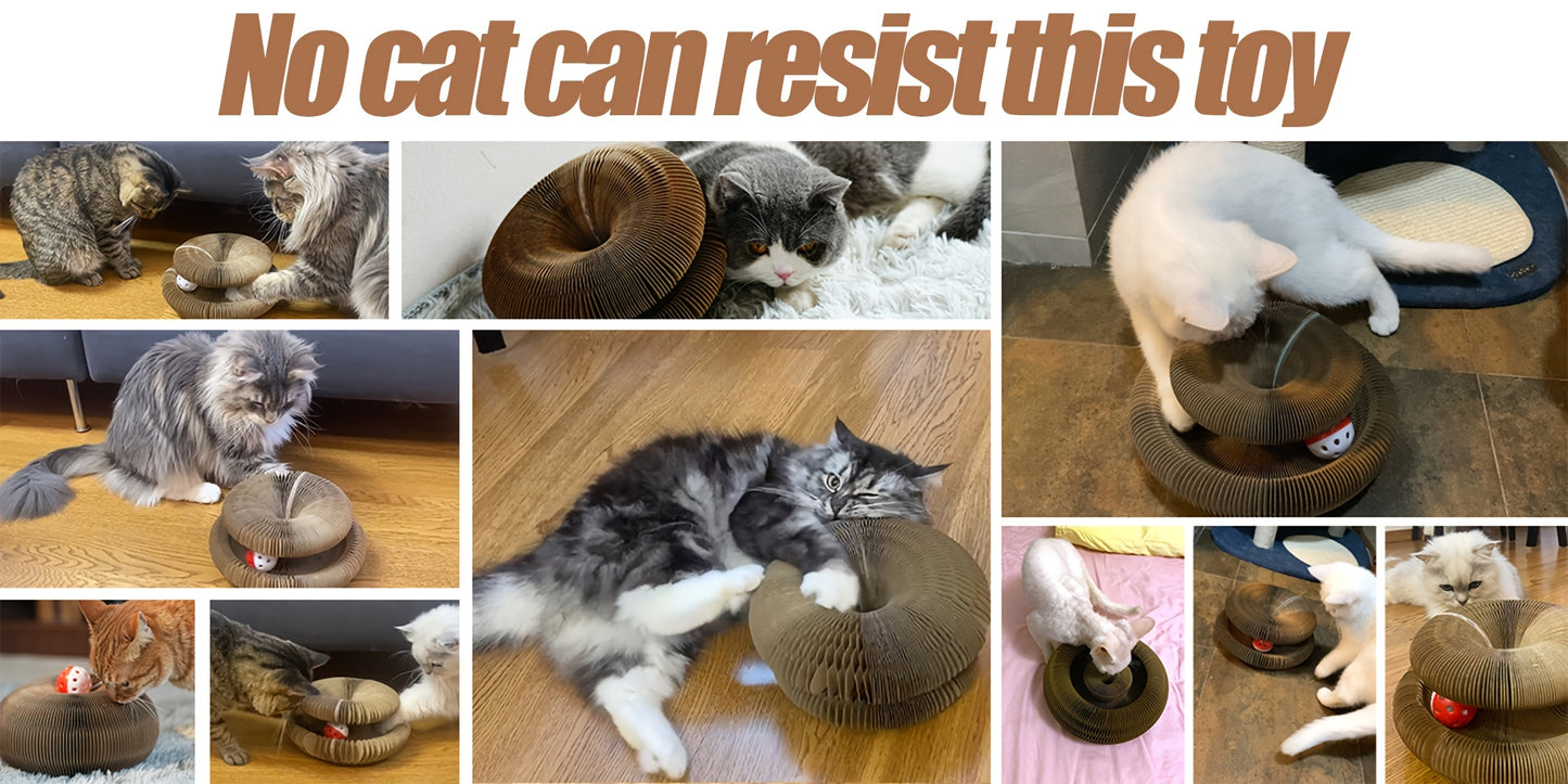 Cat Scratcher Board With Circular Ball