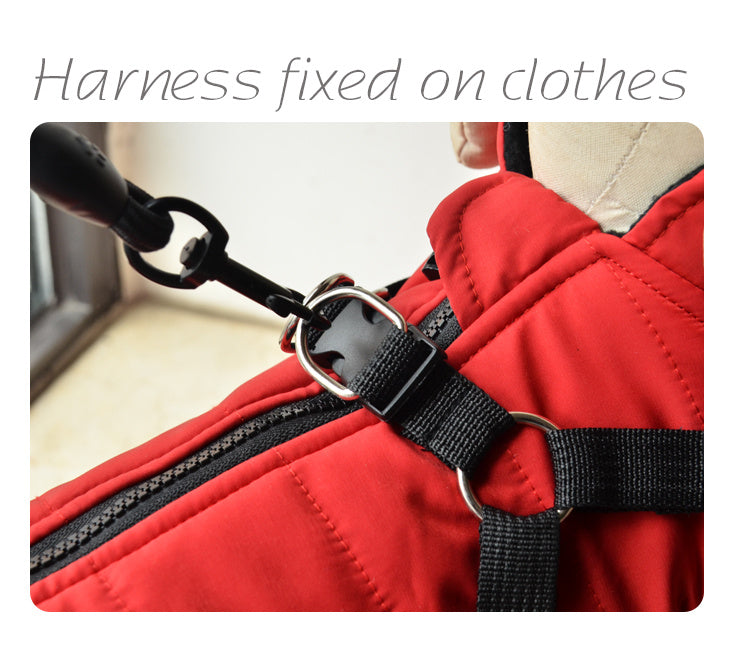 Dog Vest with Harness