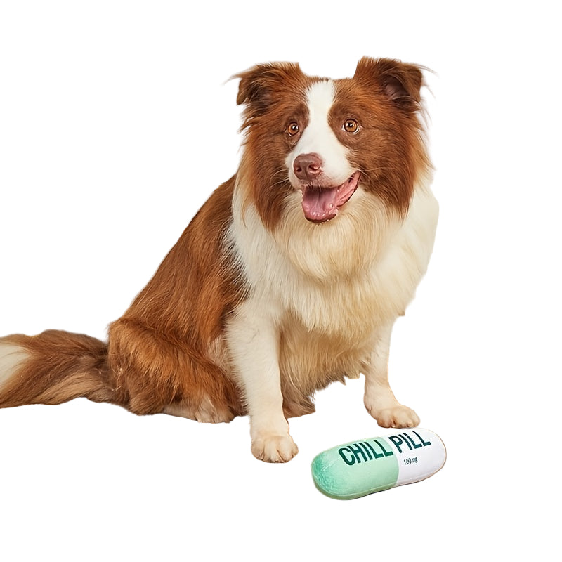 Pet Toy Soft Chill Pill