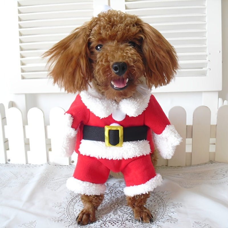 Santa Claus Pet Costume