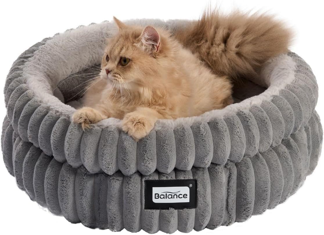 Round Cat Beds
