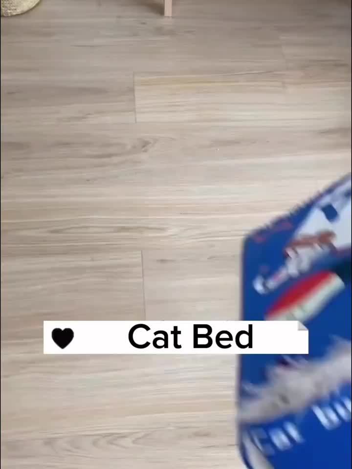 Cat Bed Snack Box Design