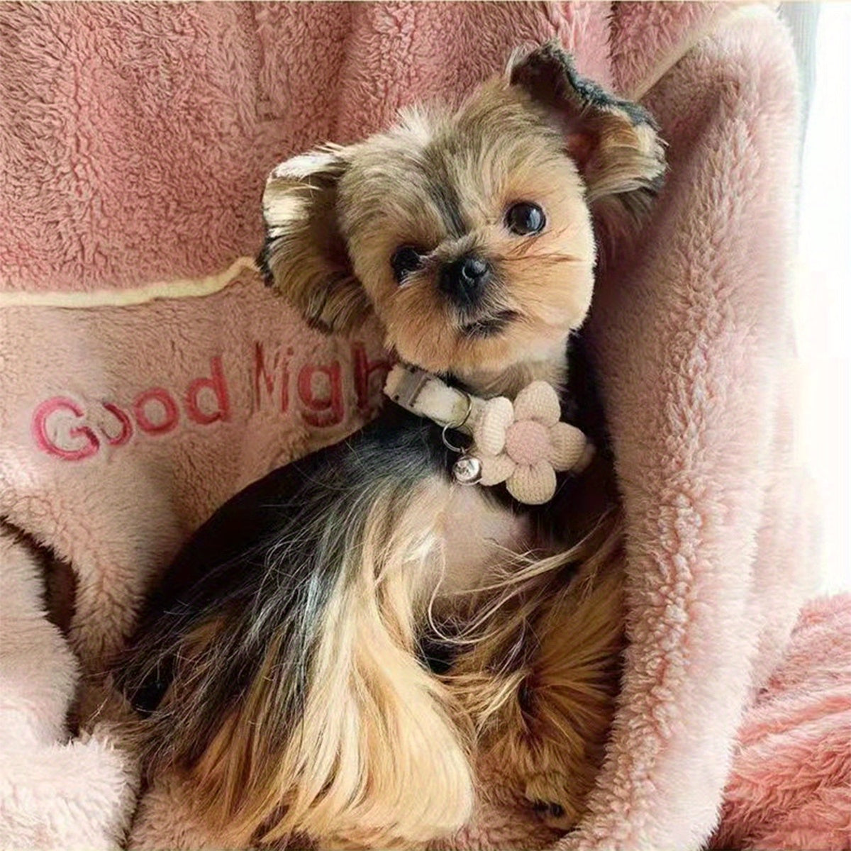 Pet Collar with Flower