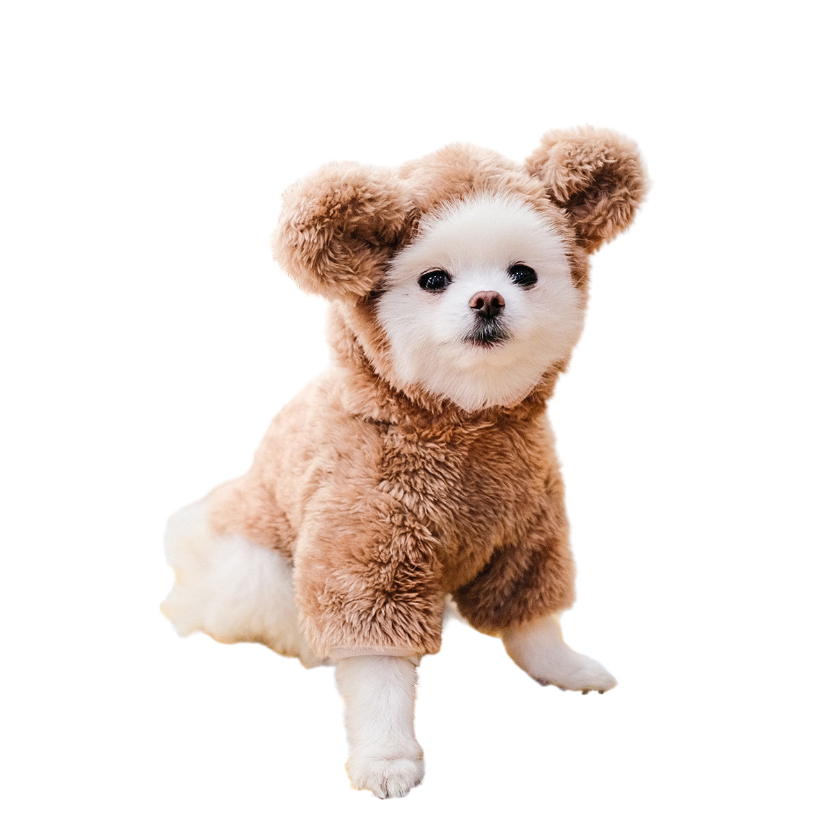 Dog & Cat Pet Bear Costume