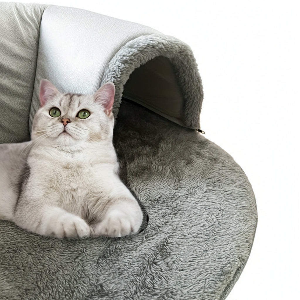 3-in-1 Cat Tunnel Bed & Playhouse