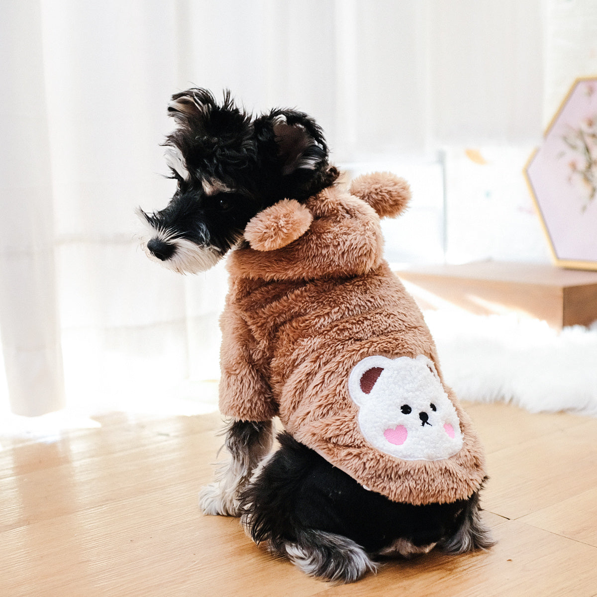 Dog & Cat Pet Bear Costume