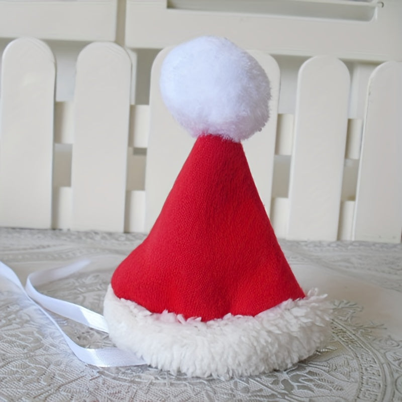 Santa Claus Pet Costume