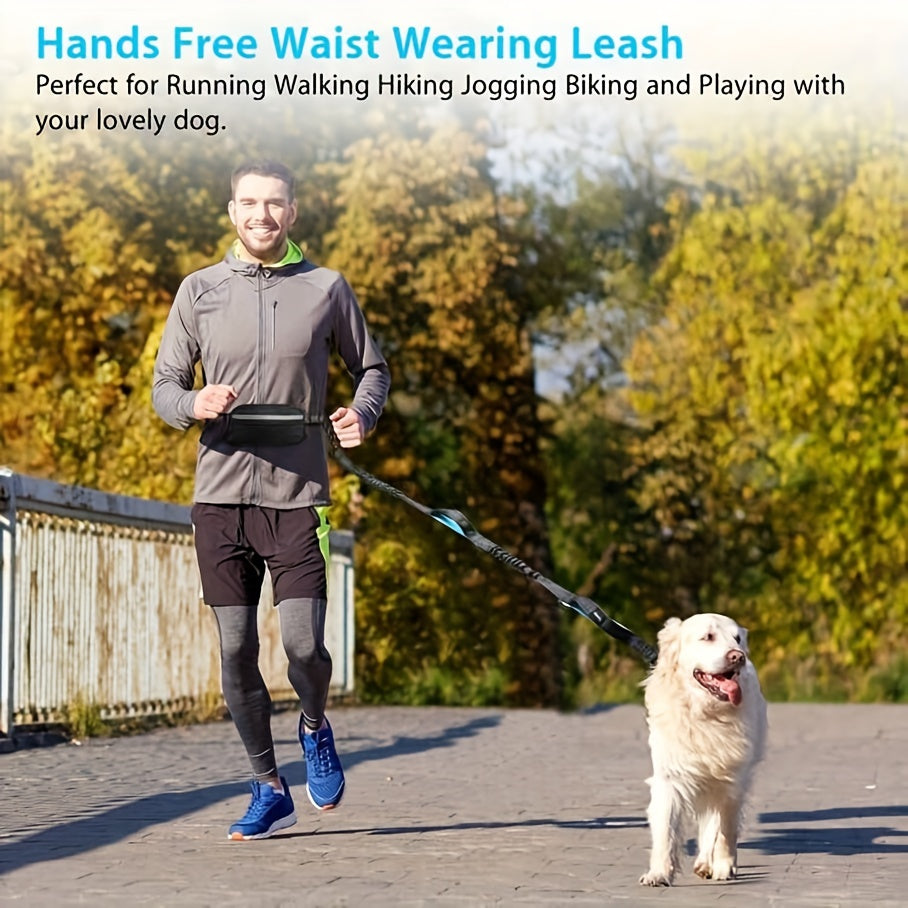 Hands-Free & Safe Dog Running Leash