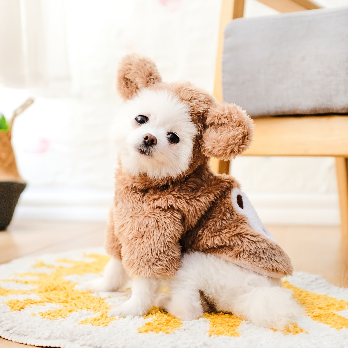 Dog & Cat Pet Bear Costume