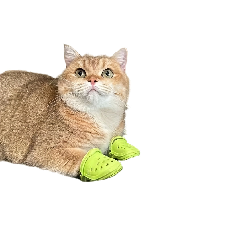 Cute Cat/Puppy Shoes