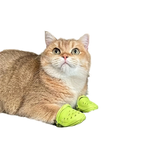 Cute Cat/Puppy Shoes