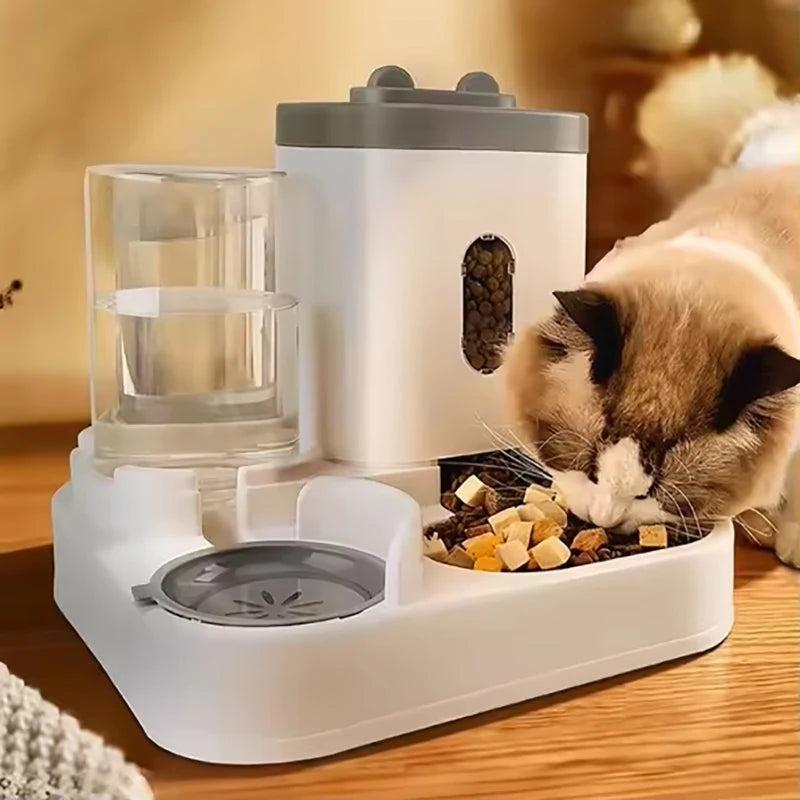 Pet automatic Water and Food dispenser