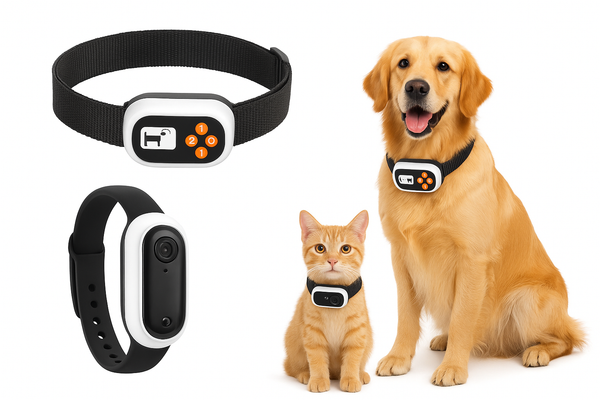 Ultimate Pet Protection Kit