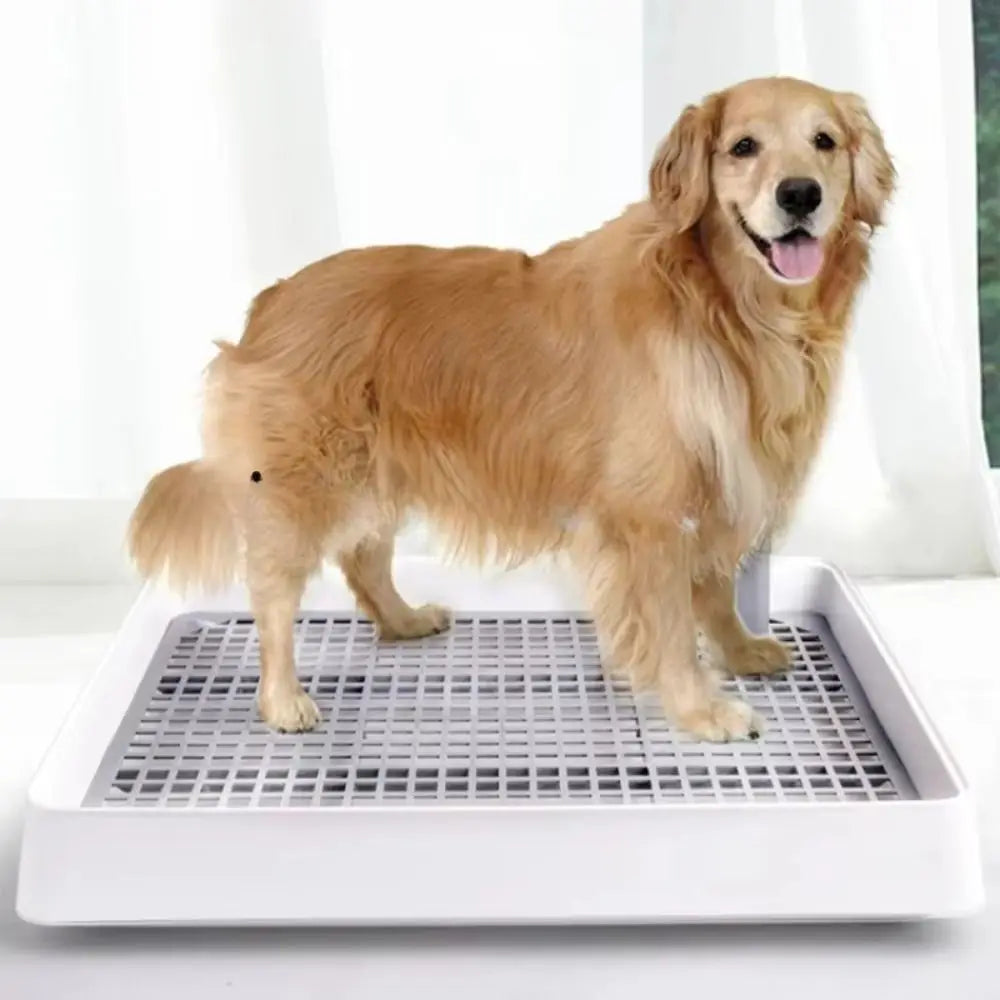 Dog Potty Pad toilet indoor