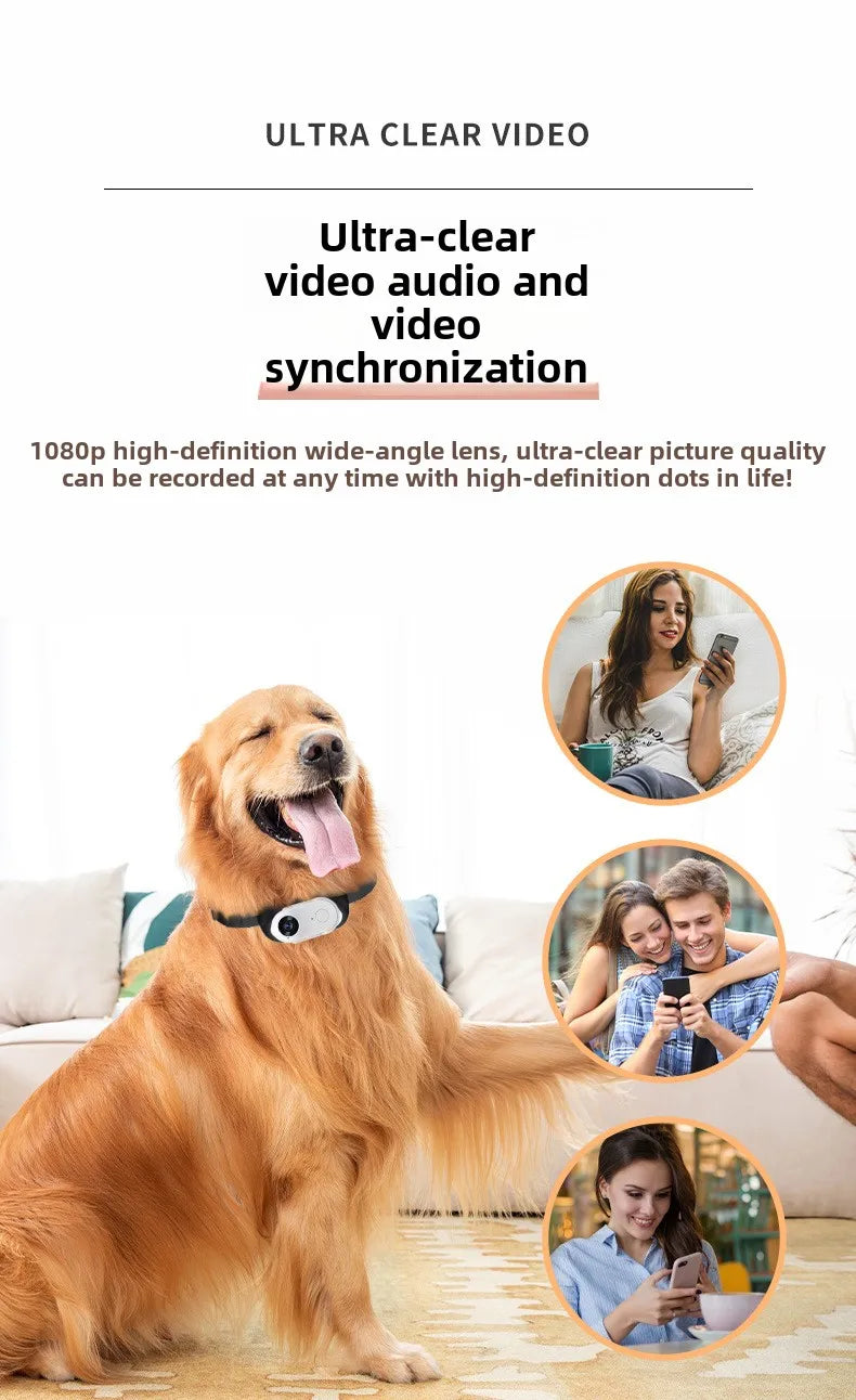 Pet Collar Camera HD 1080P WIFI