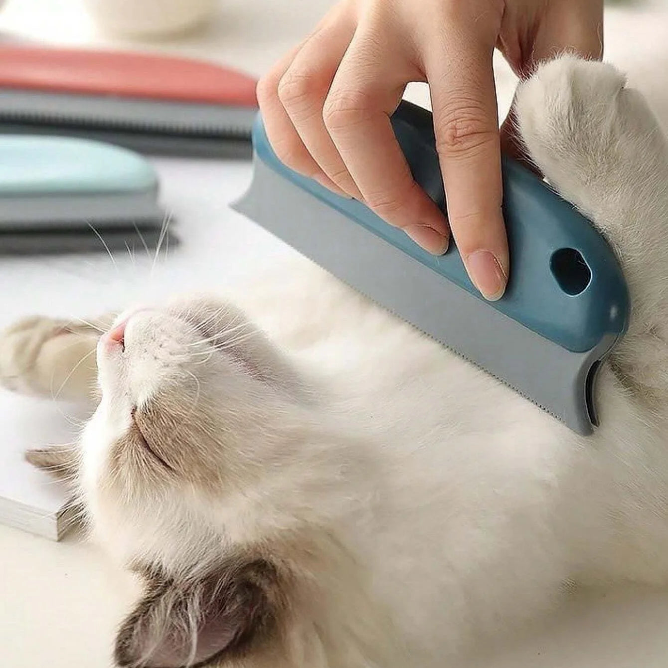Effective Pet Hair Remover Brush