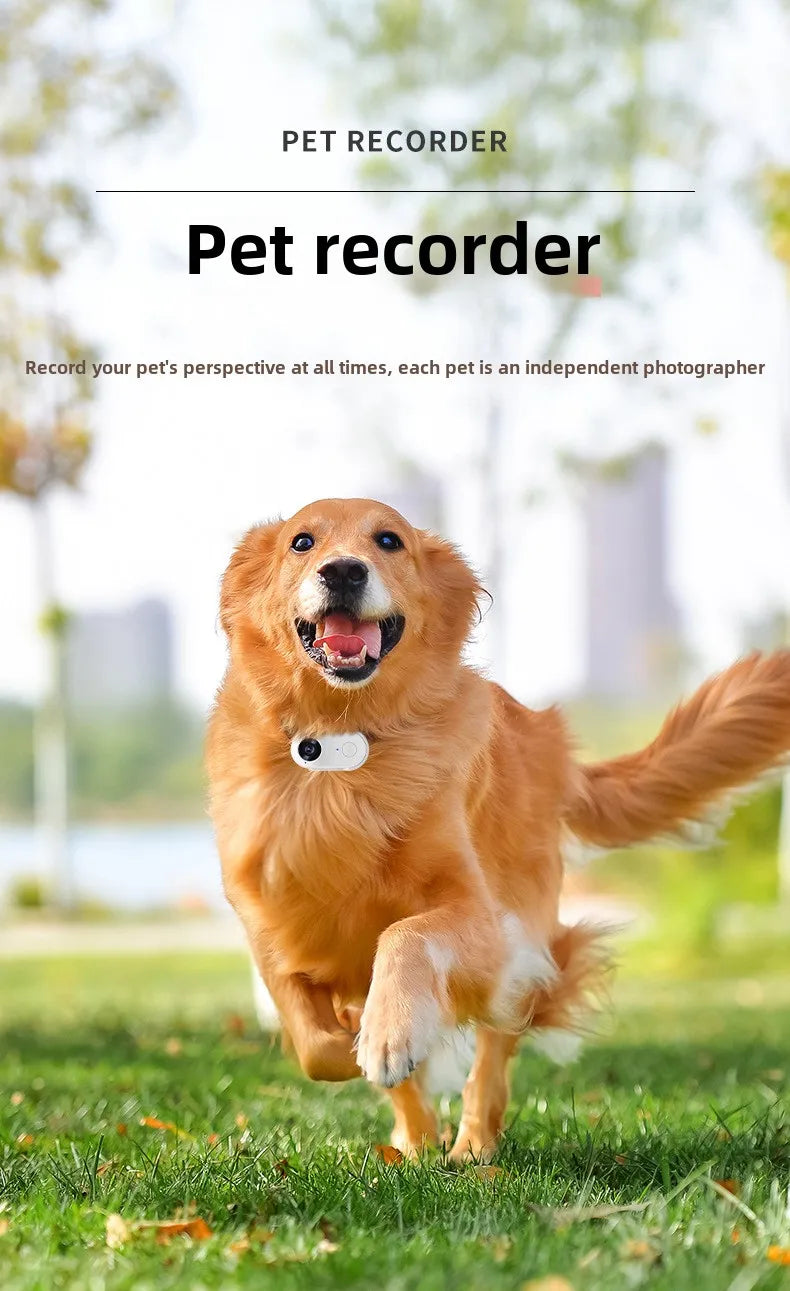 Pet Collar Camera HD 1080P WIFI