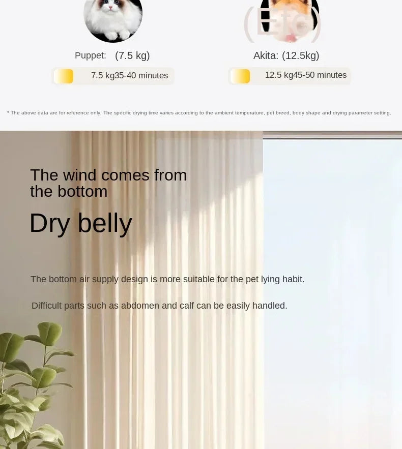 Pet Drying Box Cats and Dogs