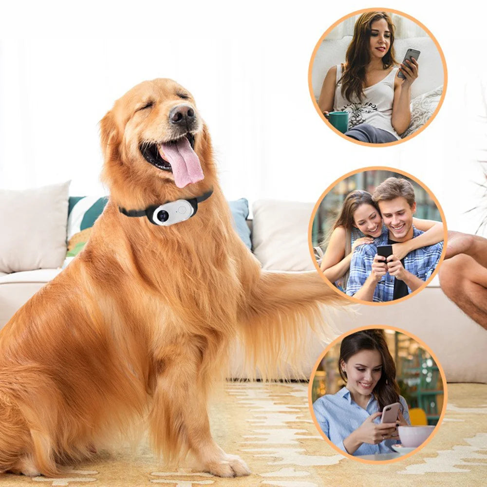 Pet Collar Camera HD 1080P WIFI
