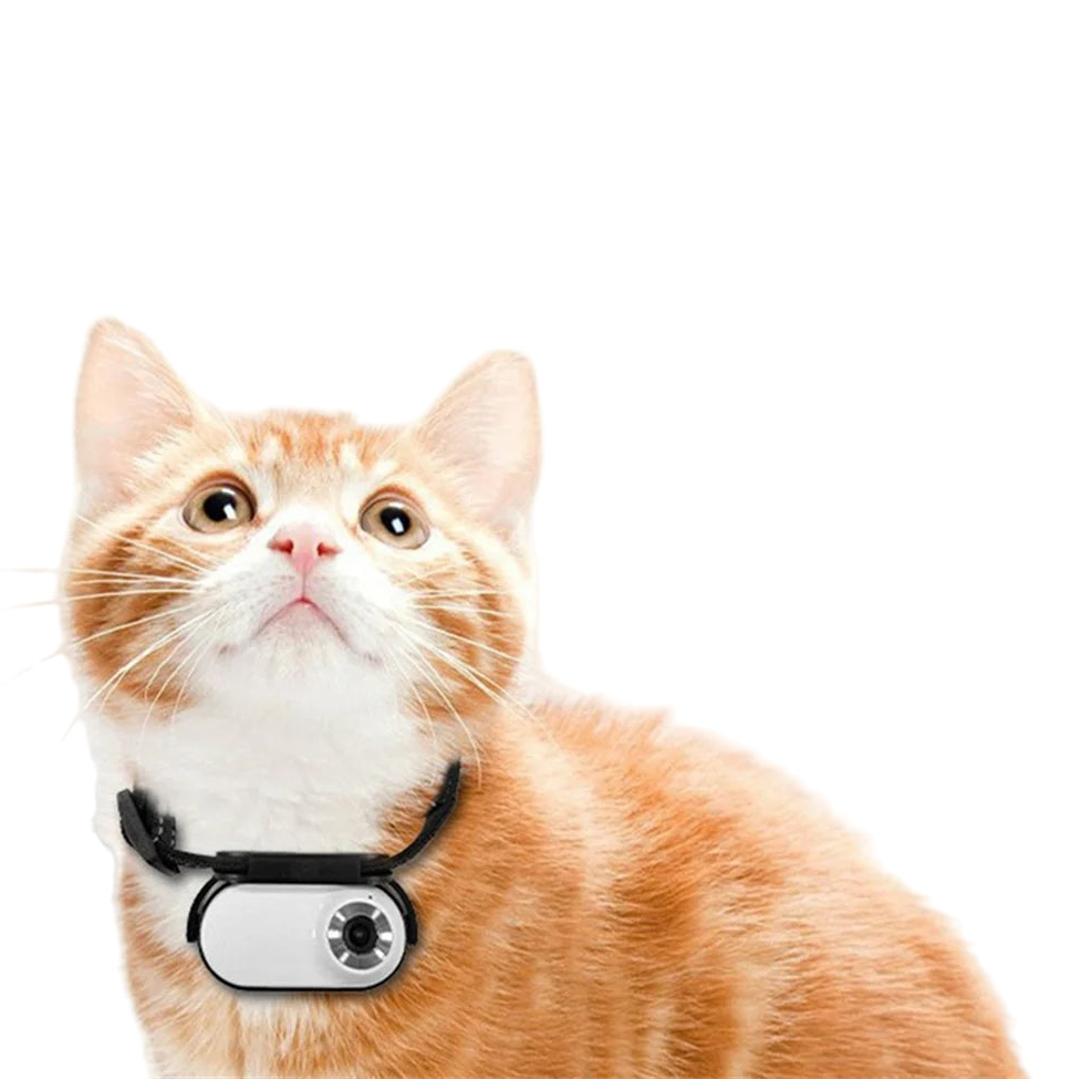 Pet Collar Camera for Pet