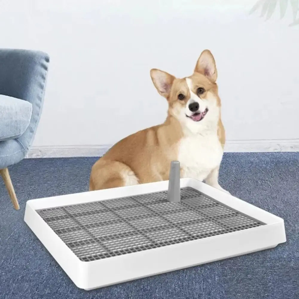 Dog Potty Pad toilet indoor