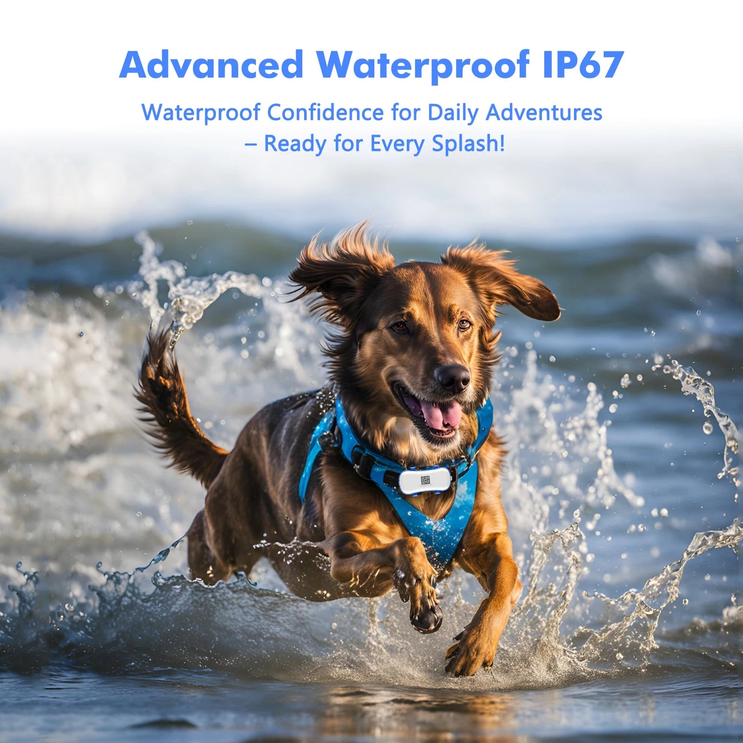 ‌4G Dog Cat GPS Tracker for Pets