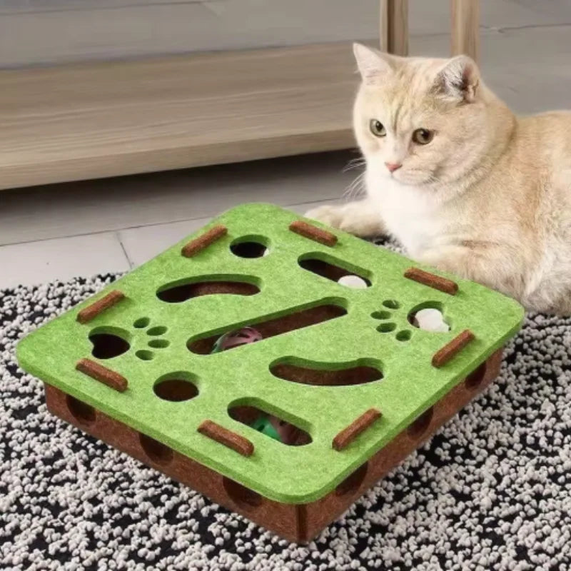 Interactive Cat Toy Maze Game Teasing