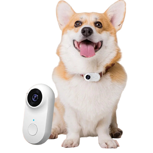 Pet Collar Camera HD 1080P WIFI