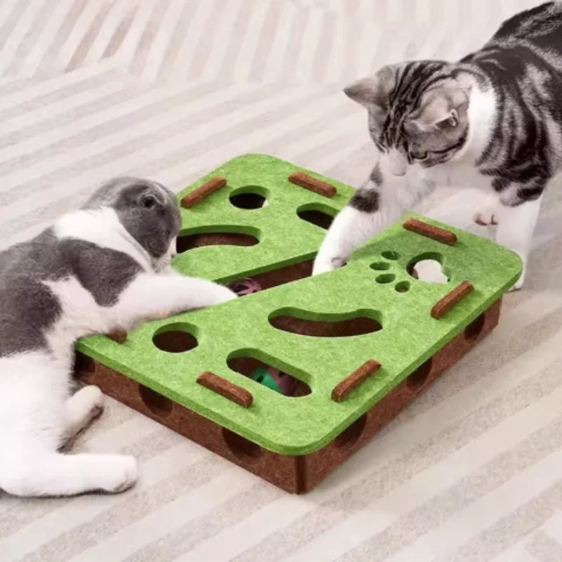 Interactive Cat Toy Maze Game Teasing