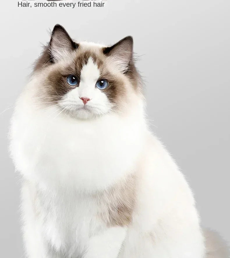 Pet Drying Box Cats and Dogs