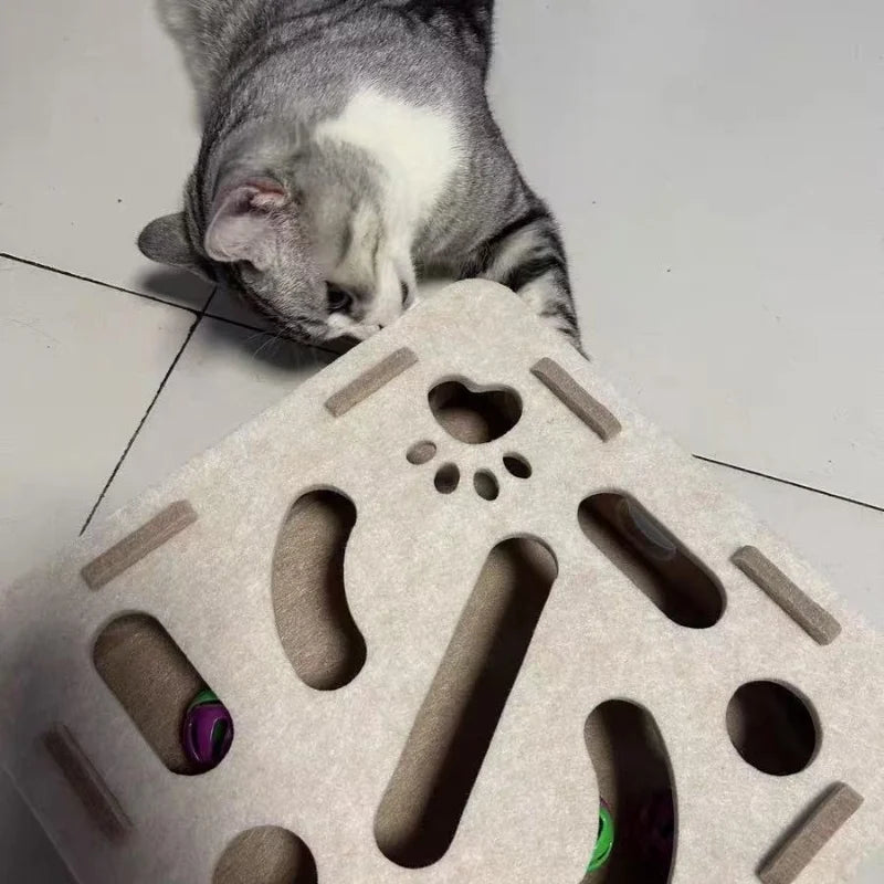 Interactive Cat Toy Maze Game Teasing