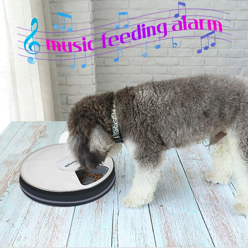 Automatic Pet Feeder Timing Feeder 6 Meals
