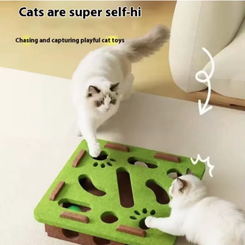 Interactive Cat Toy Maze Game Teasing