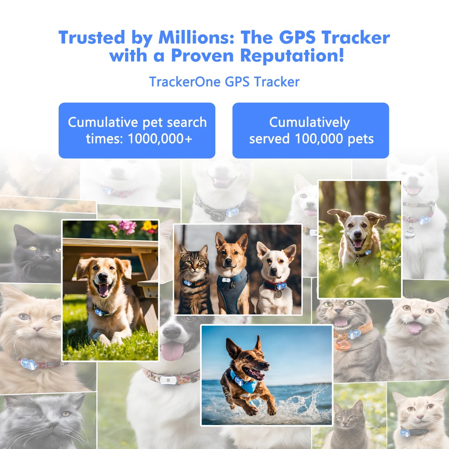 ‌4G Dog Cat GPS Tracker for Pets