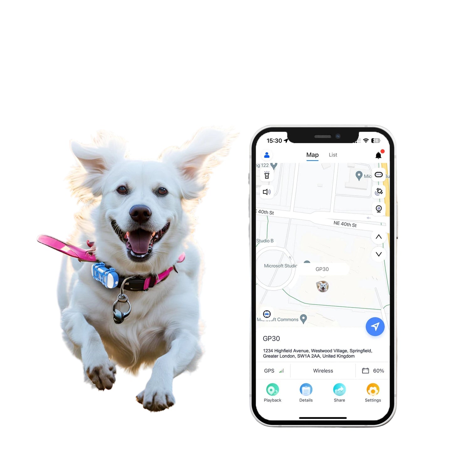 ‌4G Dog Cat GPS Tracker for Pets