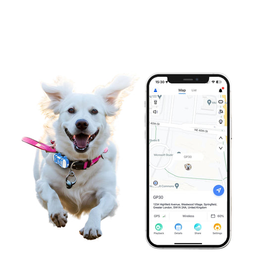 ‌4G Dog Cat GPS Tracker for Pets