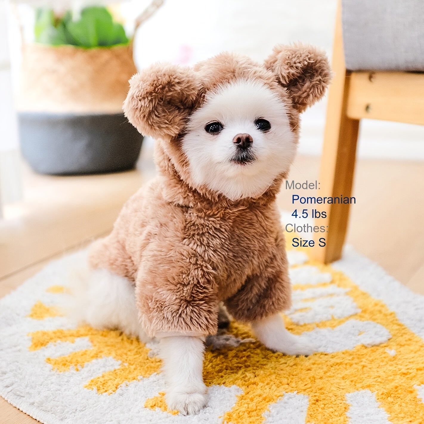 Dog & Cat Pet Bear Costume