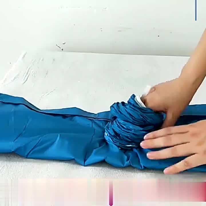 Dog Hair Dryer Blow Bag