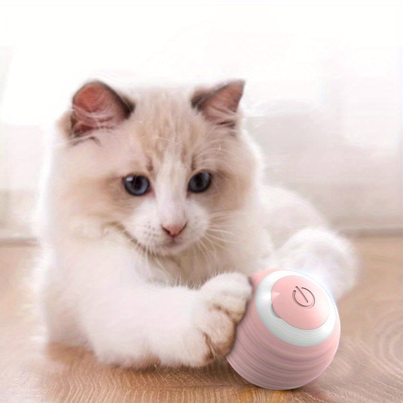 Interactive Cat Toy Bal