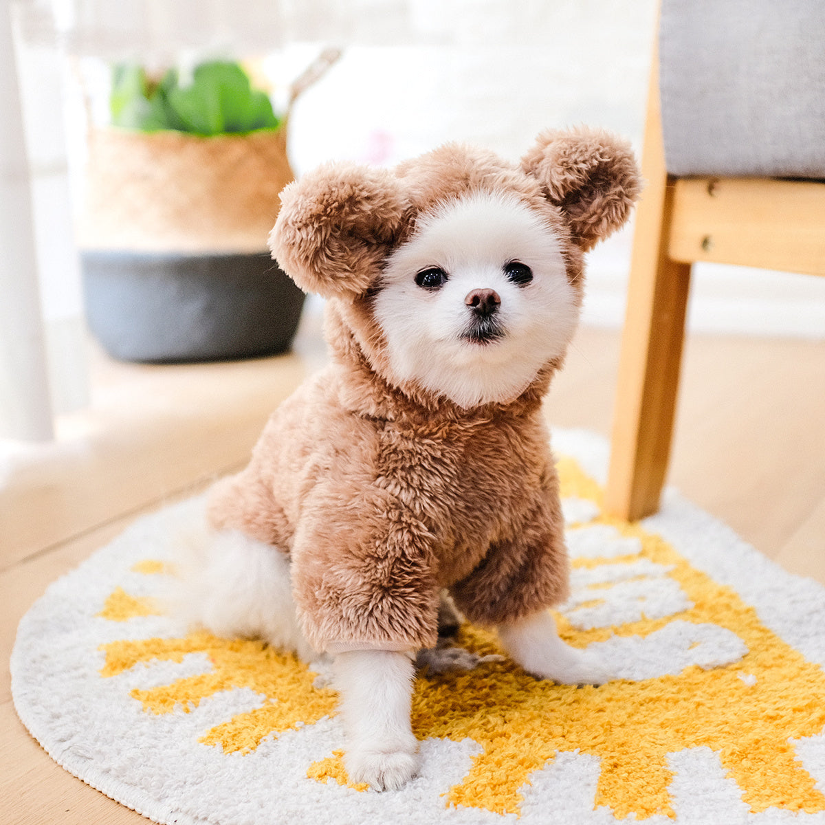 Dog & Cat Pet Bear Costume