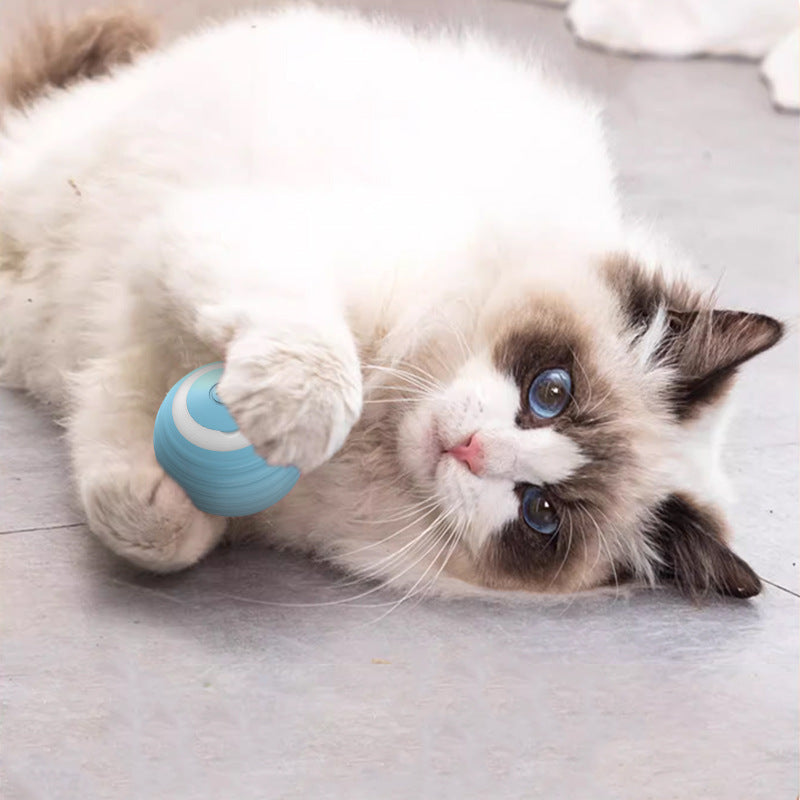 Interactive Cat Toy Bal