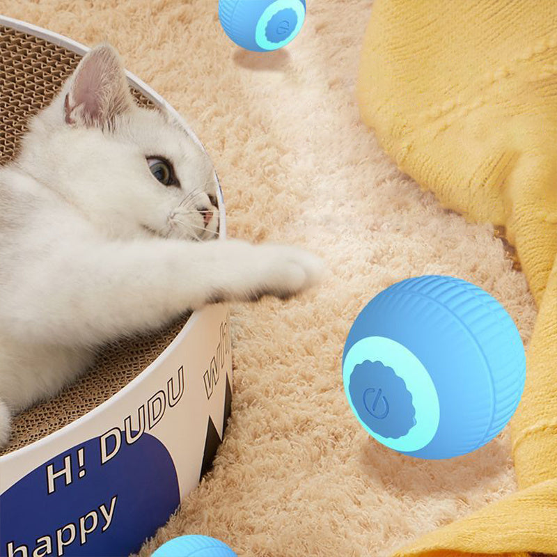 Interactive Cat Toy Bal